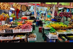 Unforgettable Costa Rica Historical Tour in San Jose
