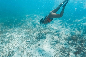 Isla Mujeres: Tu escapada caribeña definitiva