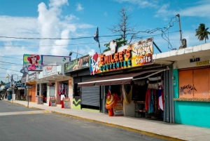 Puerto Rico: Tours turísticos en UTV y Can-Am