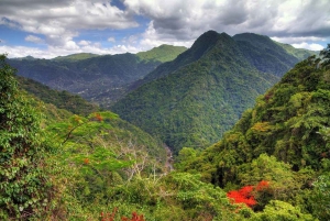 Puerto Rico: UTV Can Am Tour