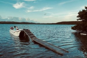 Vieques: Bioluminescent Bay Boat Tour