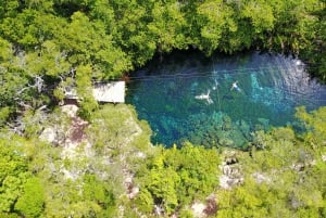 Tour privado VIP de Tulum