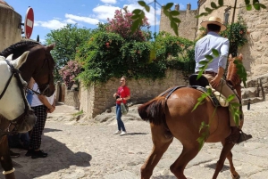 Visita Guiada Trujillo Medieval