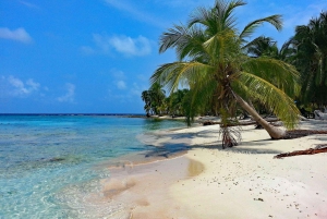 Welcome to Panama City: Private Walking Tour with a Local