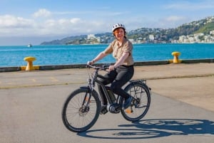 Wellington: Easy Rider Guided eBike Tour