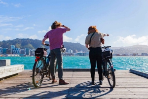 Wellington: Visita guiada en eBike Easy Rider