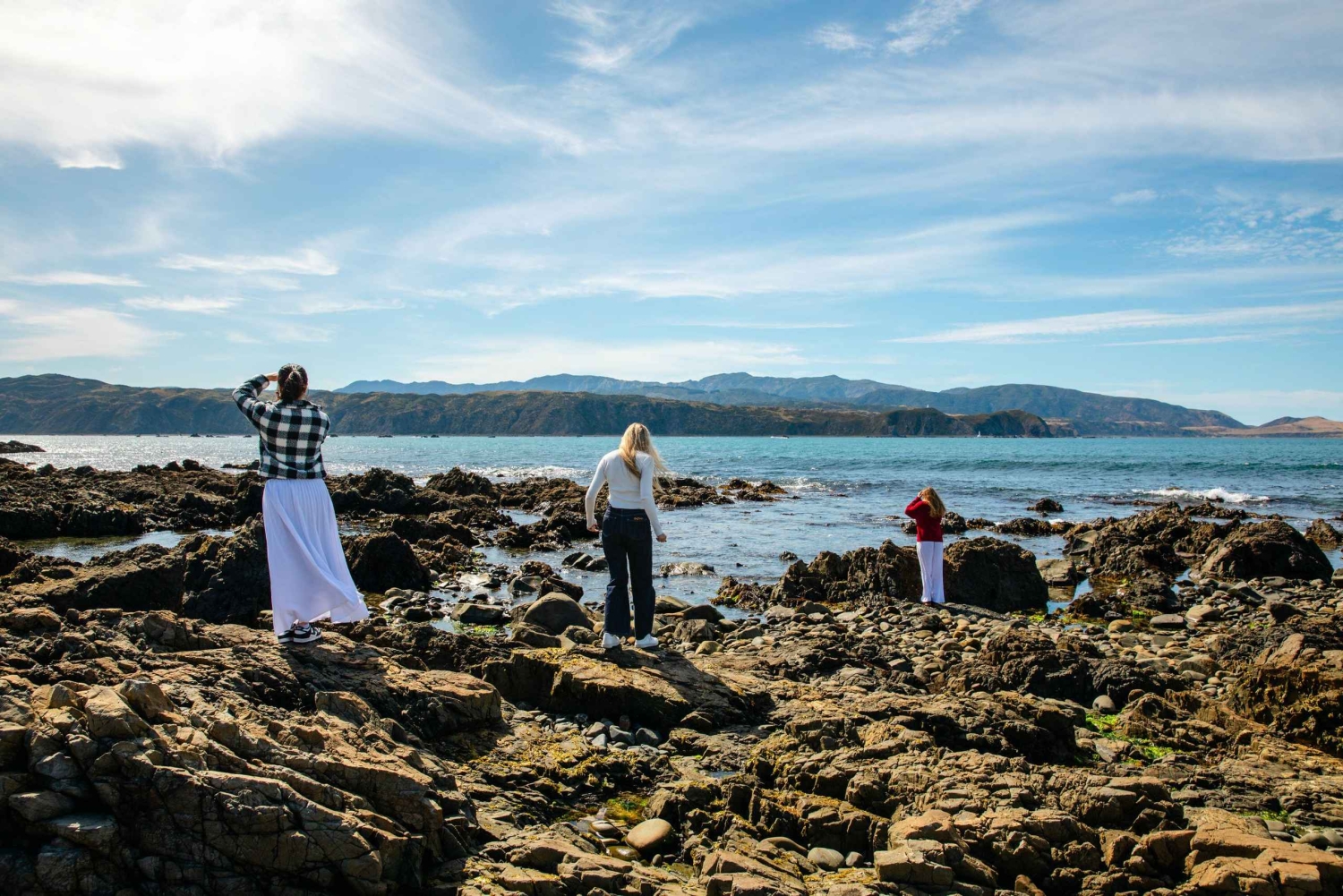 Wellington: Guided City Tour with Cable Car Ticket