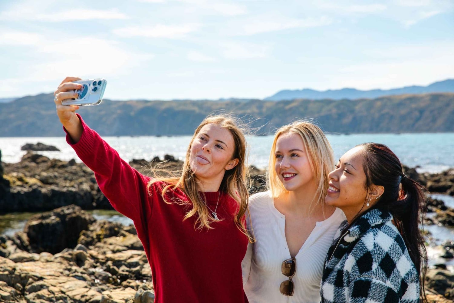 Wellington: Guided City Tour with Cable Car Ticket