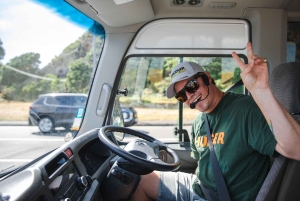 Wellington: Guided City Tour with Cable Car Ticket