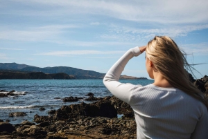 Wellington: Guided City Tour with Cable Car Ticket