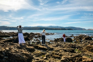 Wellington: Guided City Tour with Cable Car Ticket