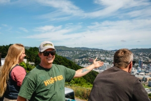Wellington: Guided City Tour with Cable Car Ticket