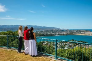 Wellington: Guided City Tour with Cable Car Ticket