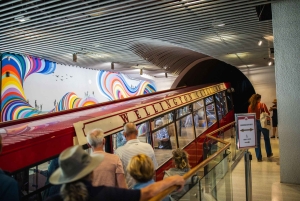 Wellington: Guided City Tour with Cable Car Ticket