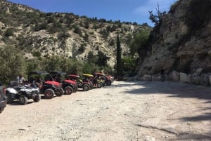 6 hour Buggy Tour Akamas incl lunch and Adonis Falls