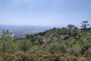 7-8 km walk above Limassol