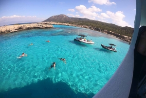 Akamas coast boat trip swiming & snorkeling with sea Turtles