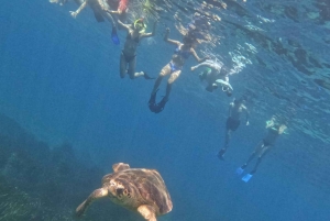 Akamas coast boat trip swiming & snorkeling with sea Turtles