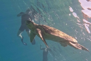 Akamas coast boat trip swiming & snorkeling with sea Turtles