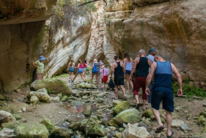Akamas jeepsafari vanuit Paphos