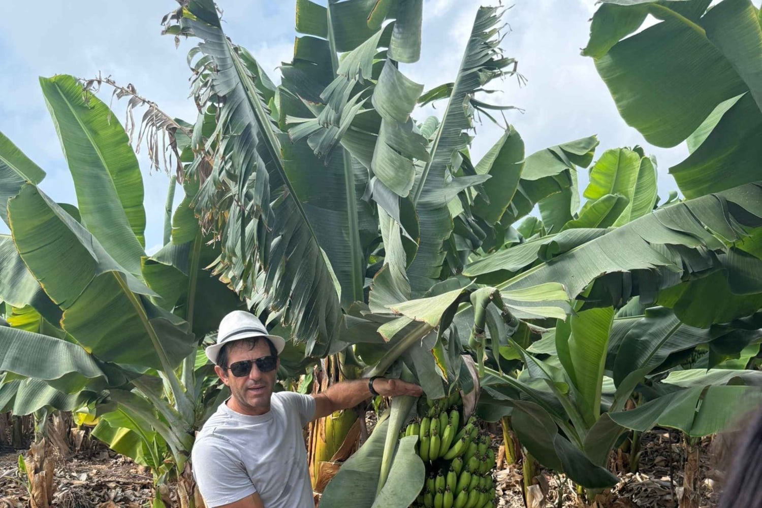 Akamas, White Stone River - Off Road med gratis cypriotisk kaffe.