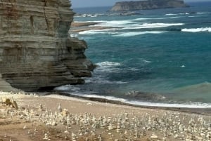 Akamas, White Stone River - Off Road med gratis cypriotisk kaffe.