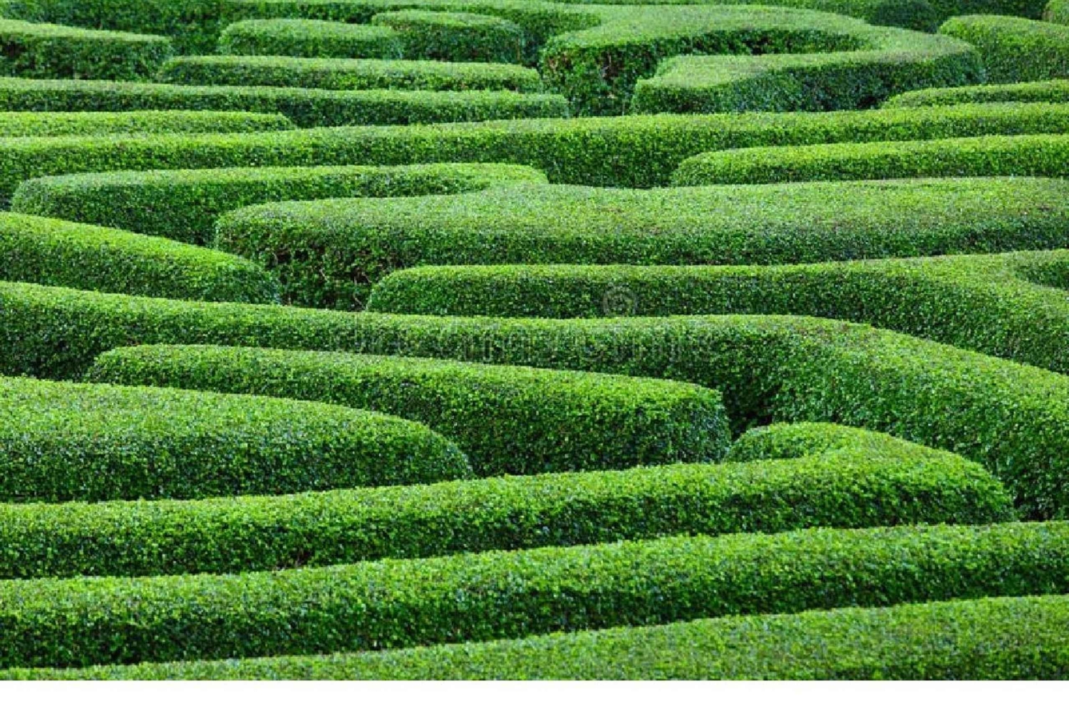 Ammochostos(:), voor liefhebbers van het dorpsleven & een trip naar de pareltjes van Cyprus