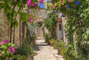 Authentiek Cyprus met een Roemeens sprekende gids