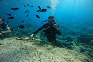 Ayia Napa: Begyndere opdager dykning