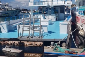 Ayia Napa: Blue Lagoon and Turtle Cove Boat Trip