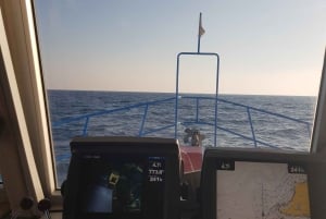 Ayia Napa: Blue Lagoon and Turtle Cove Boat Trip