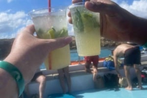 アヤナパ：ブルーラグーン＆タートルクルーズ（オプションのランチ付き）