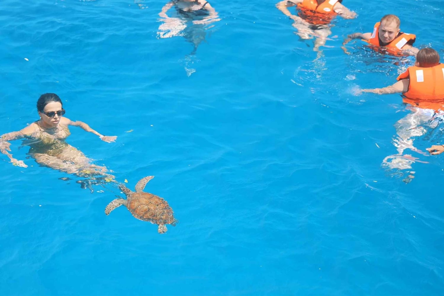 Ayia Napa: Family Cruise with Lunch and Swim Stops