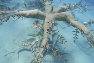 Ayia Napa: MUSAN Museum Upptäck dykning