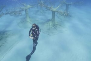 Ayia Napa: Muzeum MUSAN Odkryj nurkowanie