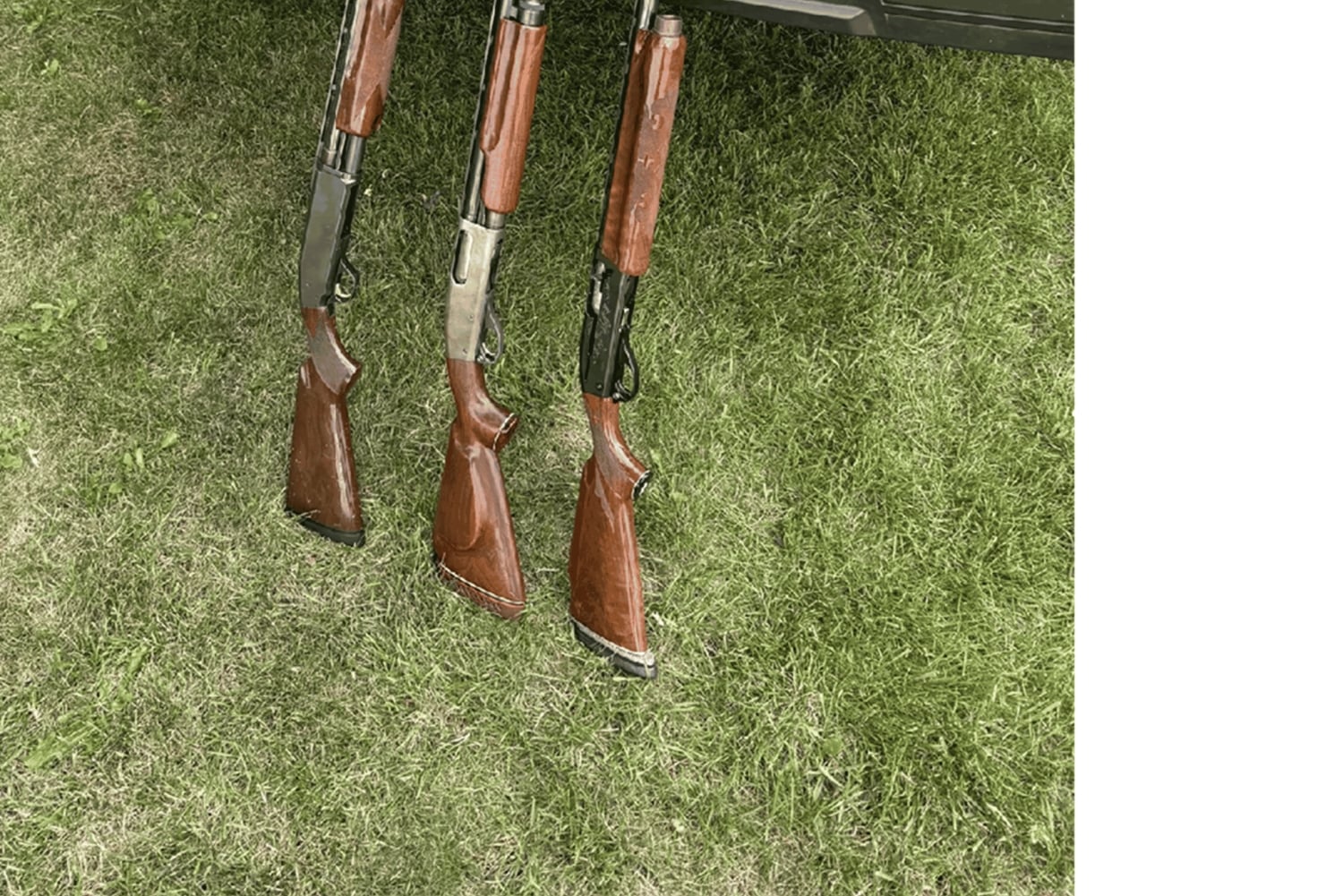 Ayia Napa: Sea Caves and Clay Pigeon Shooting Tour