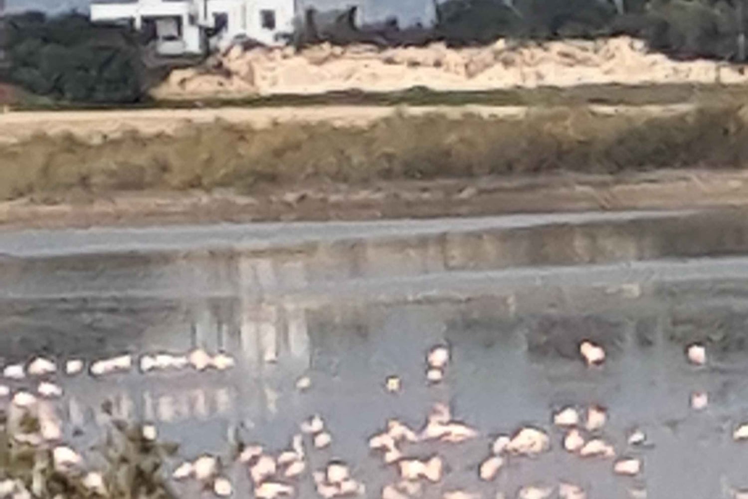 Ayia Napa: Sea Caves and Clay Pigeon Shooting Tour