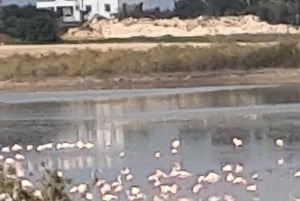 Ayia Napa: Sea Caves and Clay Pigeon Shooting Tour