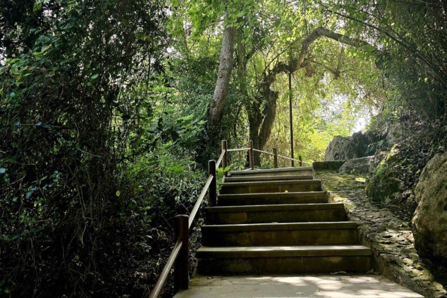 Excursão de autocarro e barco à Lagoa Azul (Akamas) a partir de Paphos