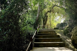 Excursão de autocarro e barco à Lagoa Azul (Akamas) a partir de Paphos