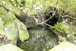 Excursão de autocarro e barco à Lagoa Azul (Akamas) a partir de Paphos