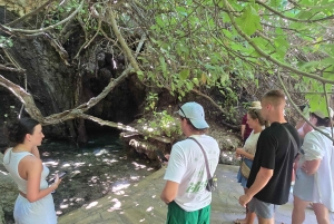 Excursão de autocarro e barco à Lagoa Azul (Akamas) a partir de Paphos