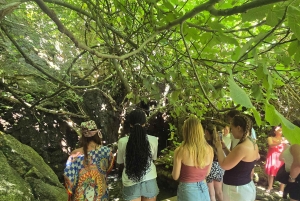Excursão de autocarro e barco à Lagoa Azul (Akamas) a partir de Paphos