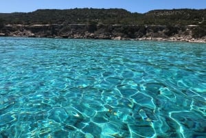 Blue Lagoon Cruise: Waterslide Adventure from Latchi Harbour