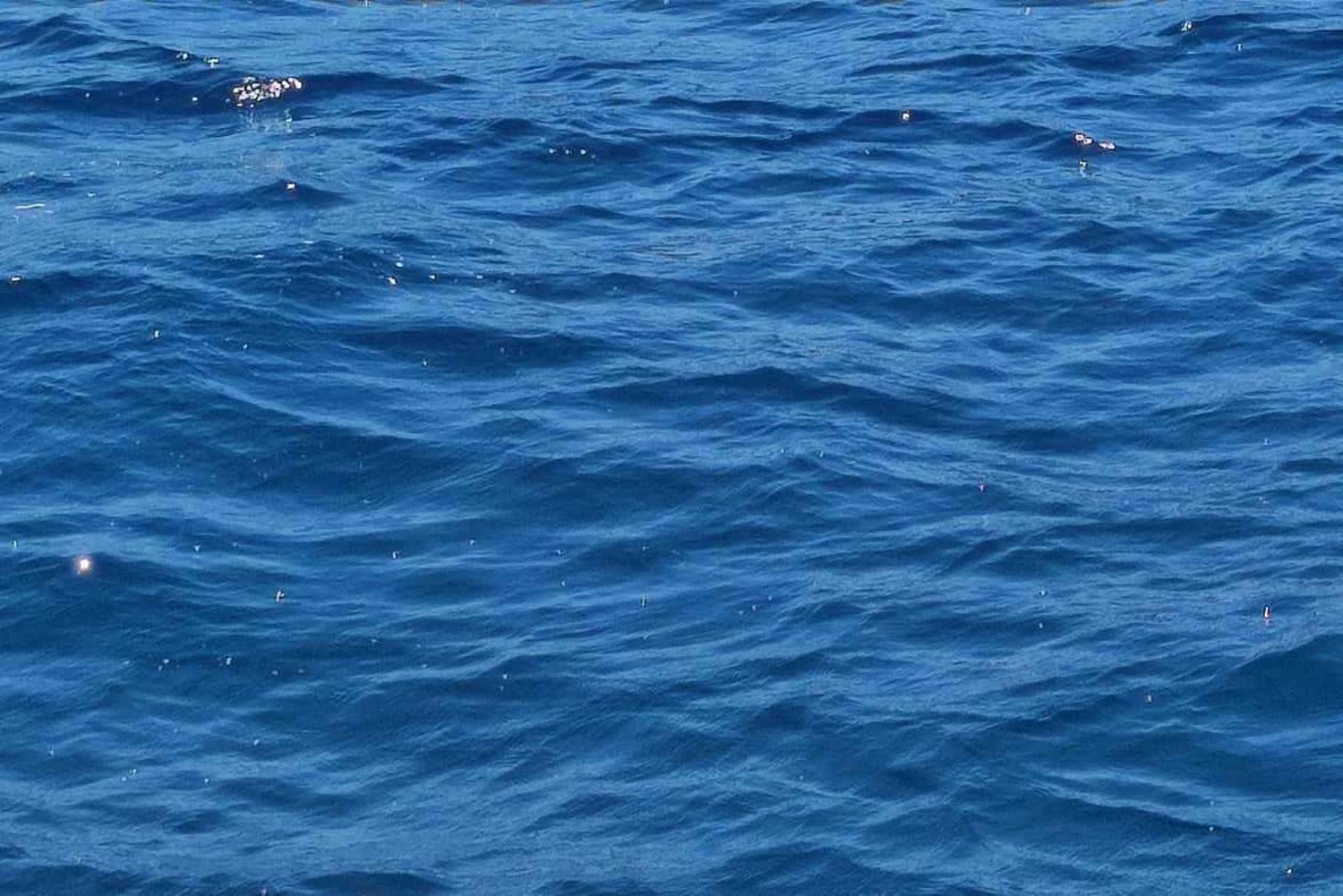 Blaue Lagune Latchi, Reisebus-Transfer + Bootsfahrt, Halbtagestour