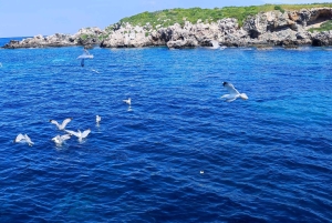 Blaue Lagune Latchi, Reisebus-Transfer + Bootsfahrt, Halbtagestour