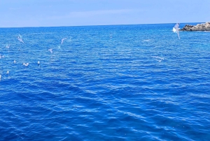 Blaue Lagune Latchi, Reisebus-Transfer + Bootsfahrt, Halbtagestour