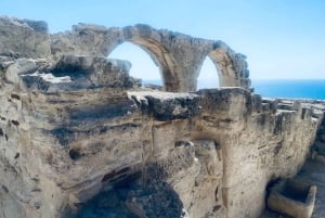 Zitrusplantagen & Kourion: Französischsprachige Führung