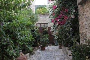 Experiencia culinaria con almuerzo: Léfkara y Kato Drys