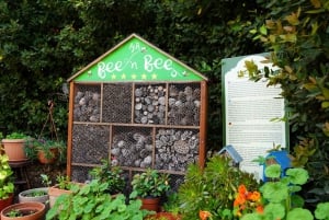 Kypros: Helbredende urter og labyrint i Cyherbia botaniske park